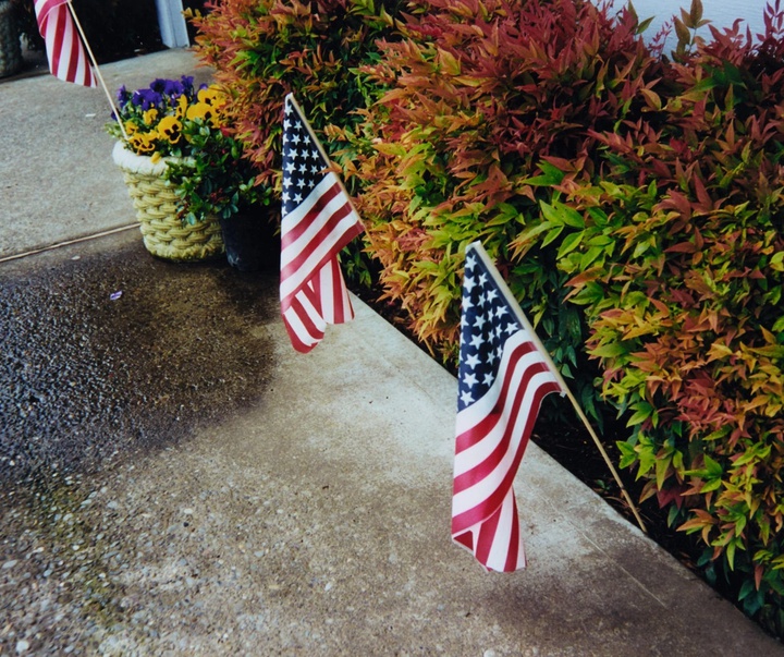 گالری آثار عکاسی مارتین پار از بریتانیا