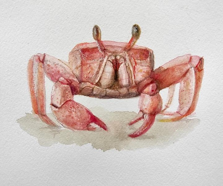 گالری نقاشی‌های لولا ماری از آرژانتین