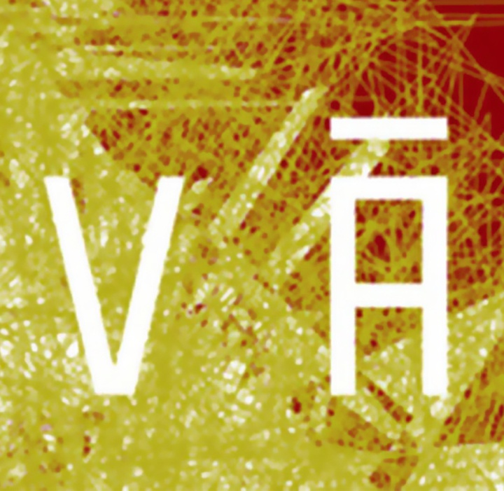 گالری آثار طراحی جلد کتاب تیاگو لاکاز از برزیل