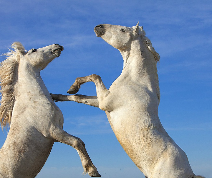 گالری آثار عکاسی جیم زاکرمن از برزیل - قسمت دوم