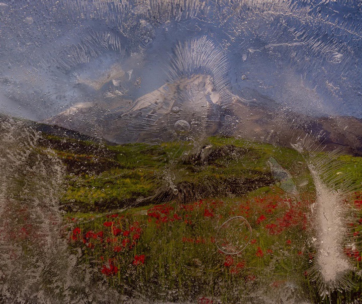 آرمین امیریان