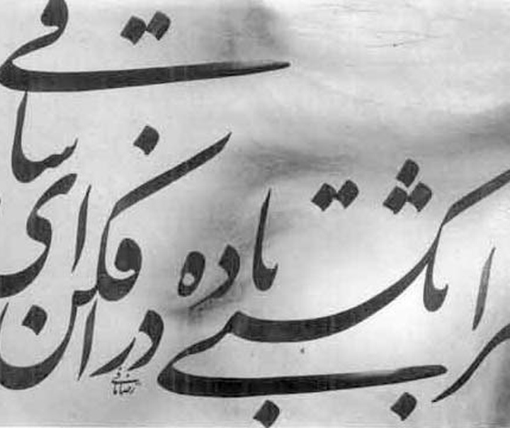 رضا مافی
