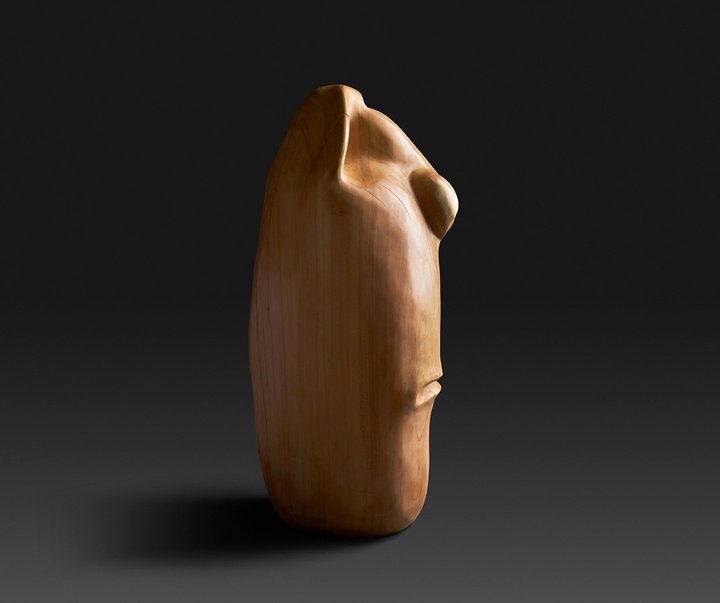 گالری آثار حجم آندرس آگیره از اکوادور