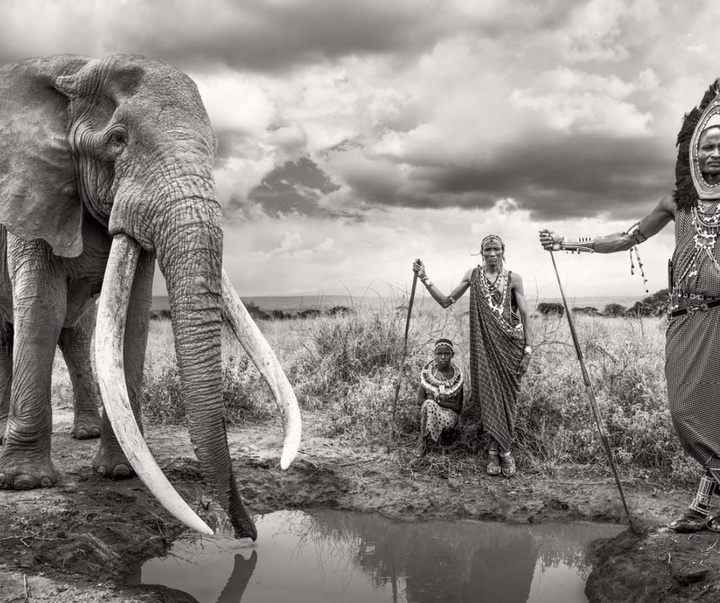 گالری عکس های جیمز لوین از انگلیس