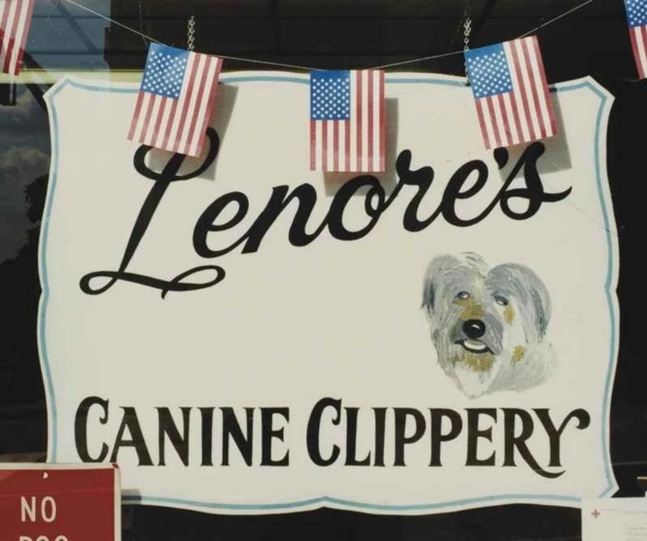 گالری آثار عکاسی مارتین پار از بریتانیا