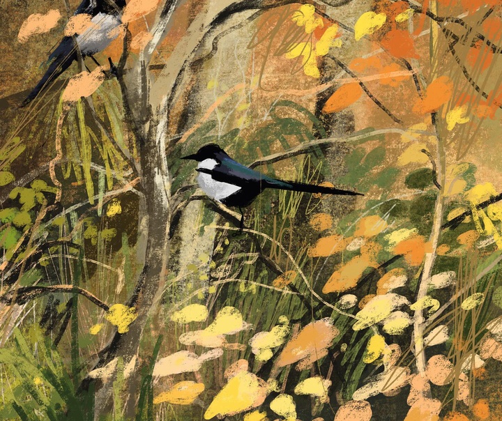 جنی بلومفیلد