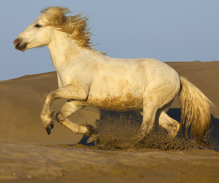 گالری آثار عکاسی جیم زاکرمن از برزیل - قسمت دوم