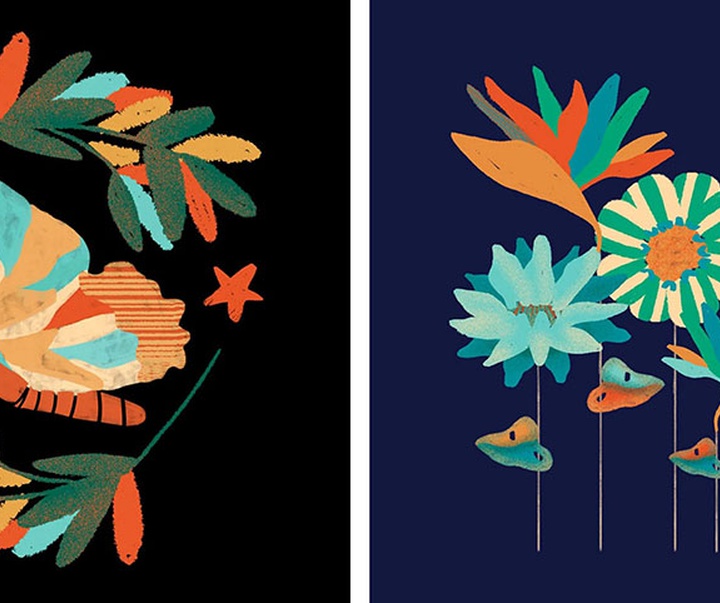 گالری تصویرسازی های باربارا دانتاس از برزیل