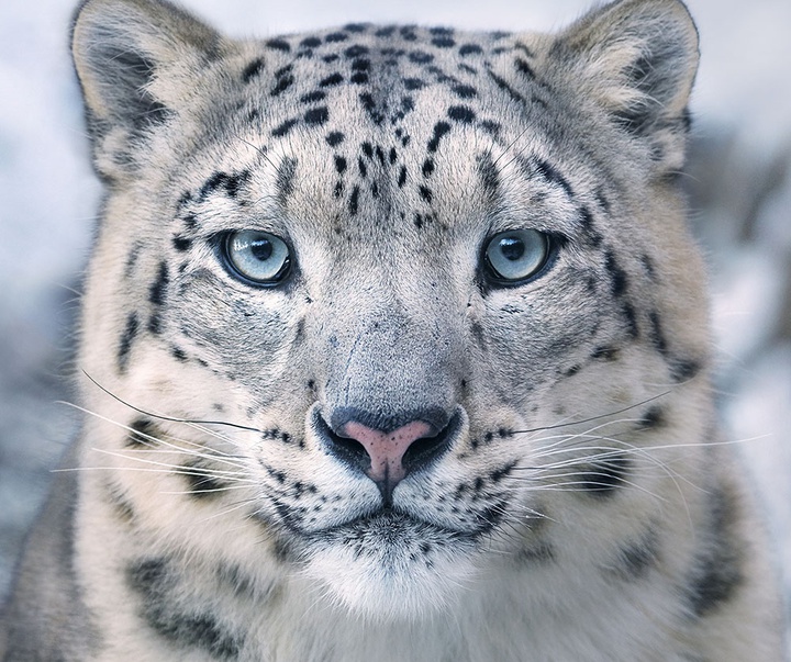 گالری عکس‌های خلاقانه تیم فلچ از بریتانیا