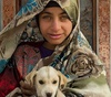 گالری عکس های مجید حجتی از ایران