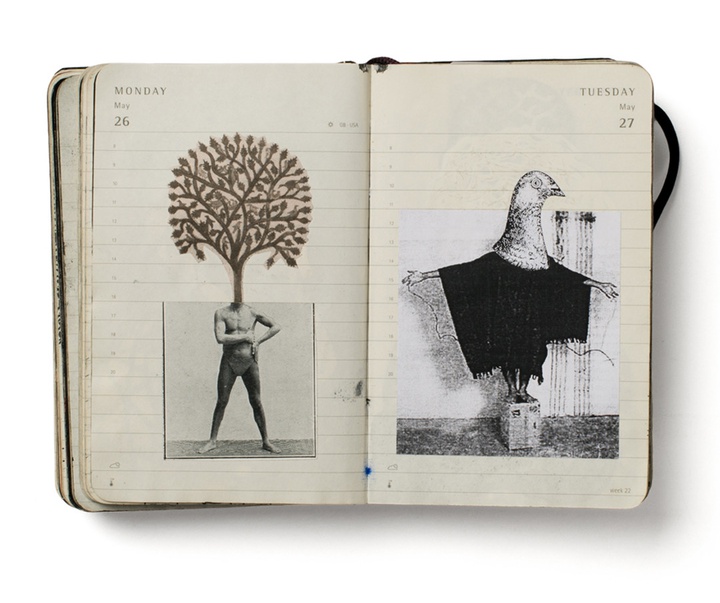 گالری تصویرسازی های پپ کاریو از اسپانیا