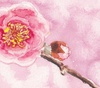 گالری نقاشی های امیلی لی از ژاپن