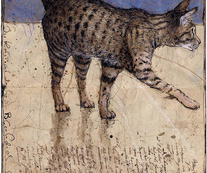 گالری آثار طراحی آندریاس نوسمان از آلمان