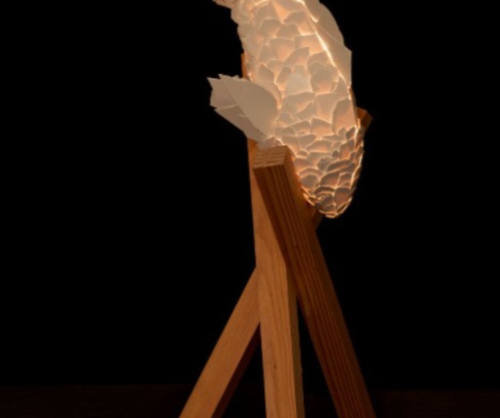 گالری آثار مجسمه و حجم فرانک گهری هنرمند آمریکایی کانادایی