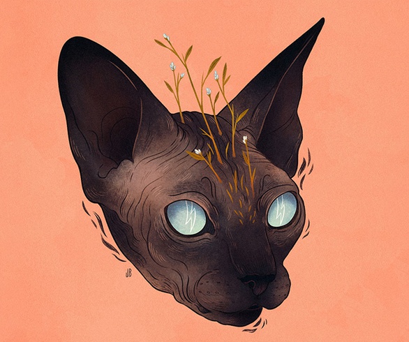 گالری آثار تصویرسازی جنا بارتون از آمریکا