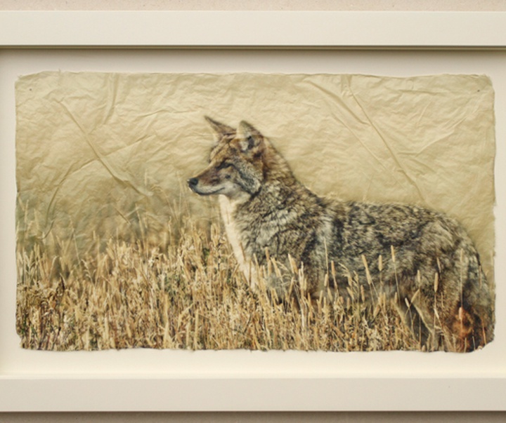 گالری نقاشی‌های پیت زالوزک از آمریکا