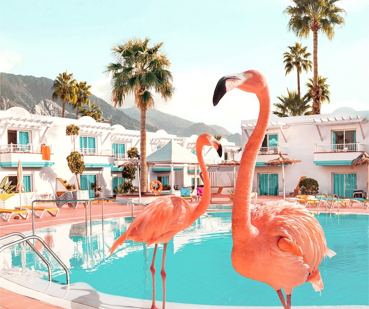 گالری آثار عکاسی پاول فوئنتس از بریتانیا