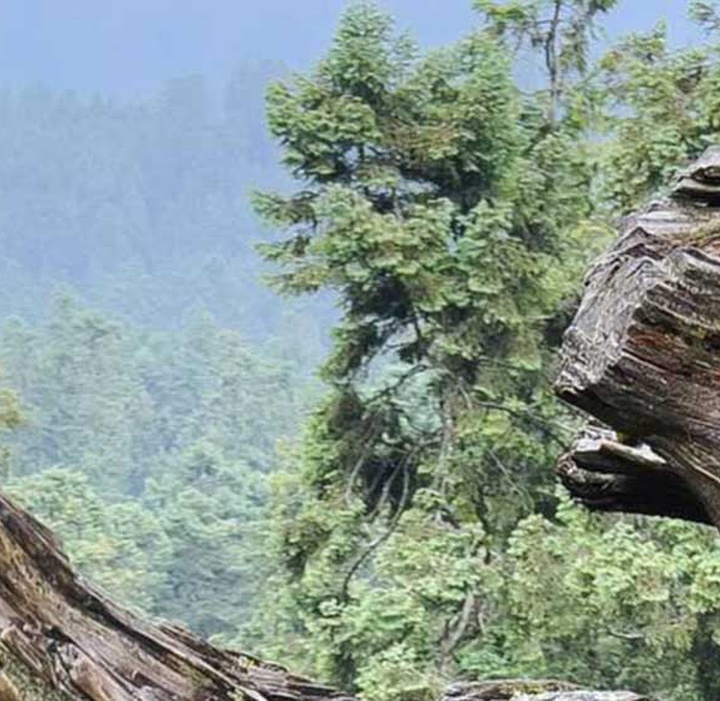 گالری آثار عکاسی اروین آندرس فریر اوکانا از مکزیک