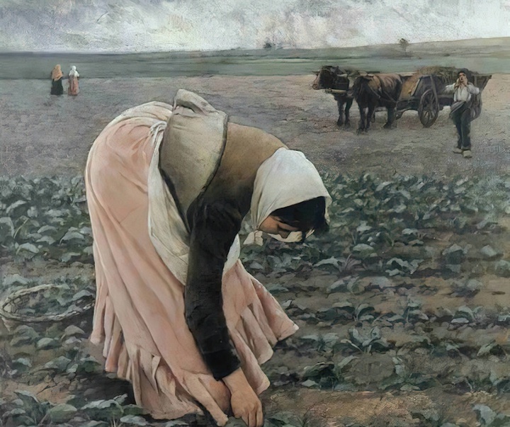 گالری نقاشی‌های یاکوب شیکاندر از چک