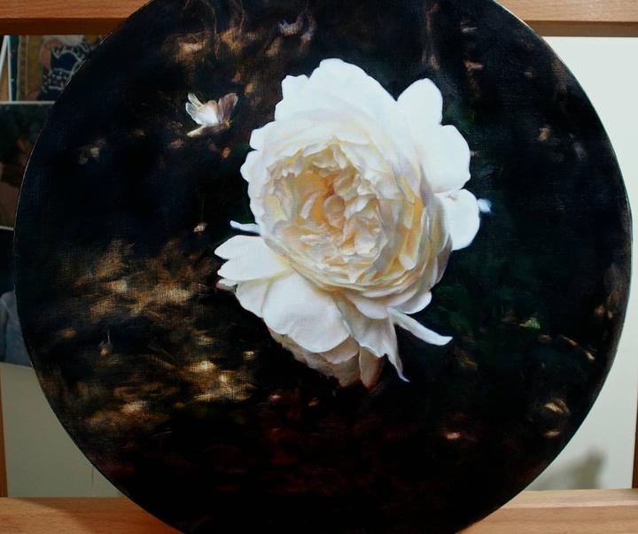 گالری نقاشی های استفانی راجرز از انگلیس