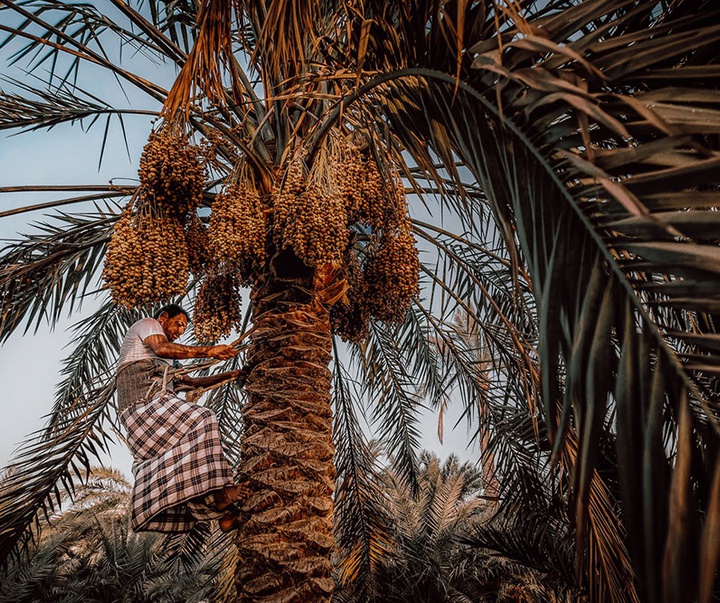 منتخب آثار عکاسی { مصطفی عبدالهادی } از بحرین ( بخش دوم )