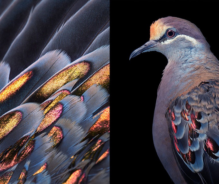 گالری عکس‌های خلاقانه تیم فلچ از بریتانیا