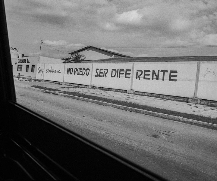 گالری آثار عکاسی داماریس بتانکور از کوبا