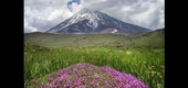 گالری عکس های نیما جبرائیلی از ایران