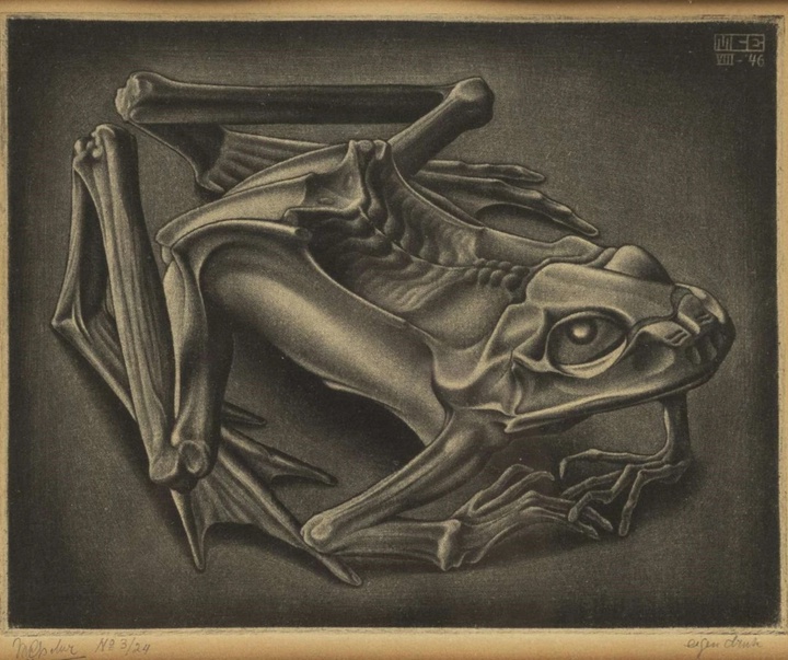 گالری آثار گرافیک موریس کورنلیس اشر از هلند