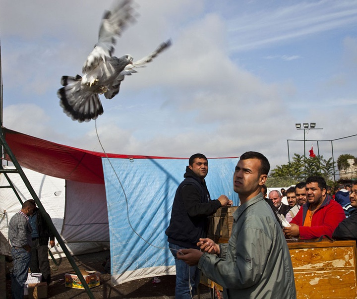 گالری آثار عکاسی برونو باربی از مراکش