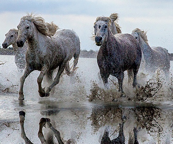 گالری آثار عکاسی جیم زاکرمن از برزیل - قسمت دوم