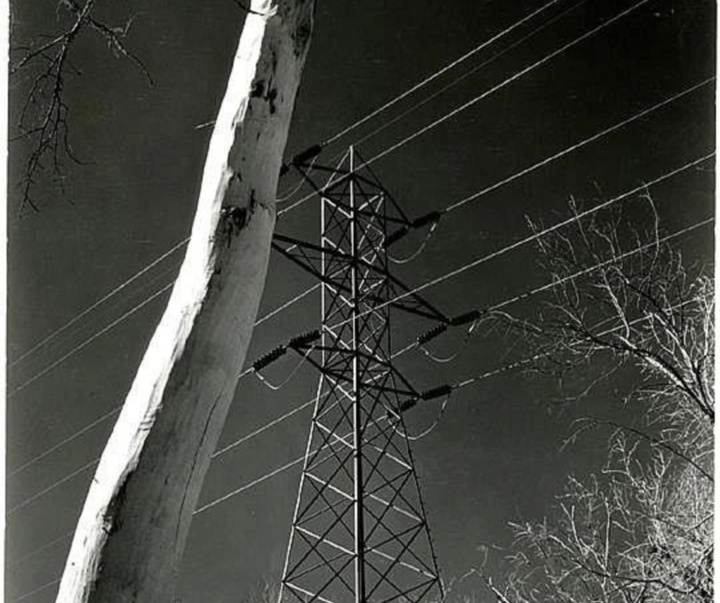 گالری عکس‌های ادوارد وستون از آمریکا