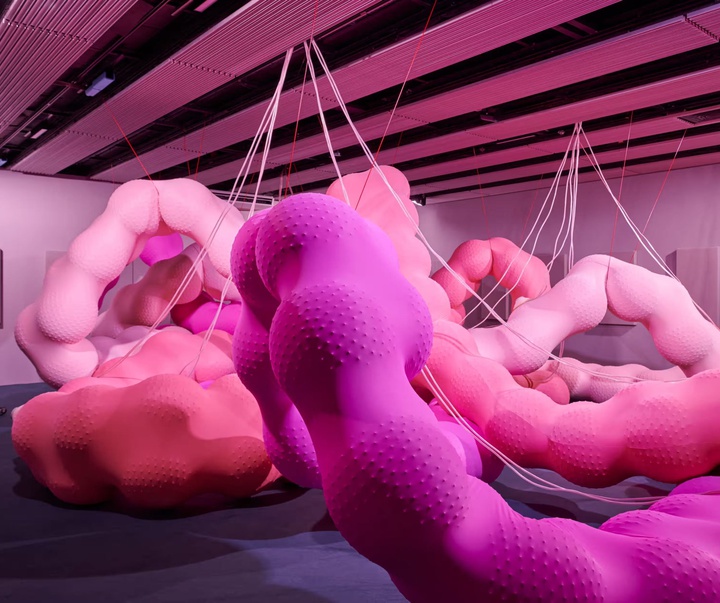 گالری آثر چیدمان و حجم اوا فابرگاس از اسپانیا