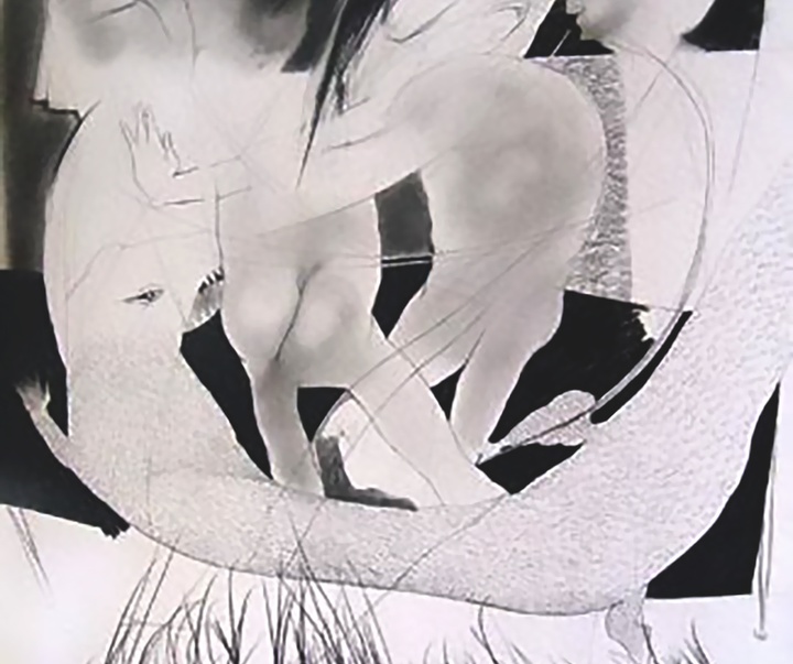 گالری تصویرسازی‌های بابک امجد