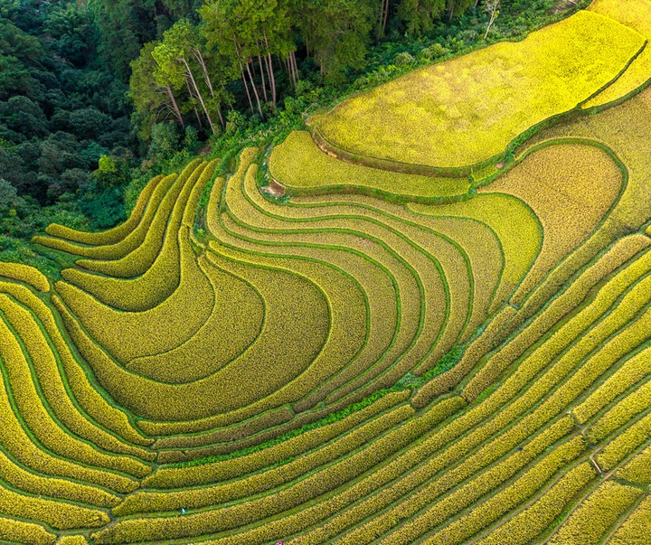 گالری آثار عکاسی جیم زاکرمن از برزیل - قسمت سوم