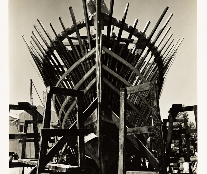 گالری عکس‌های ادوارد وستون از آمریکا