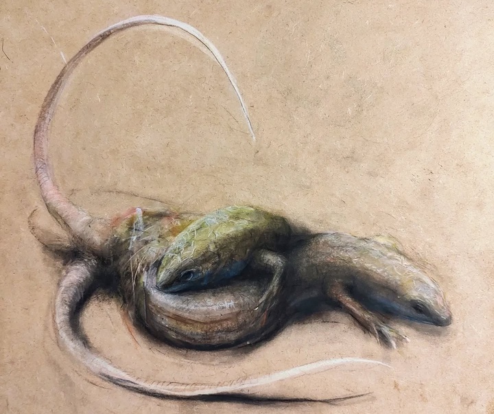 گالری نقاشی‌های لولا ماری از آرژانتین