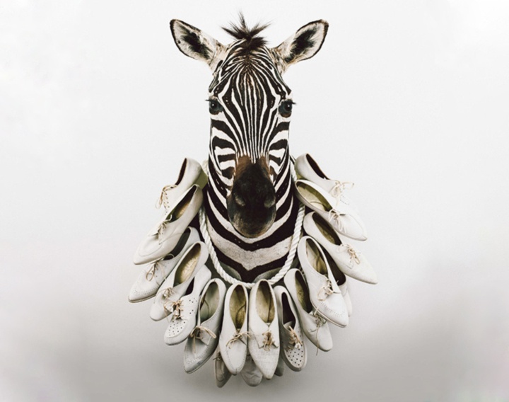 گالری آثار عکاسی آنا دالتون چرچ از نیوزلند