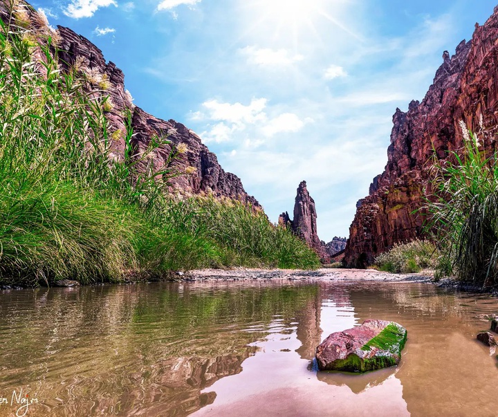 گالری آثار عکاسی ماهر نجم از عربستان