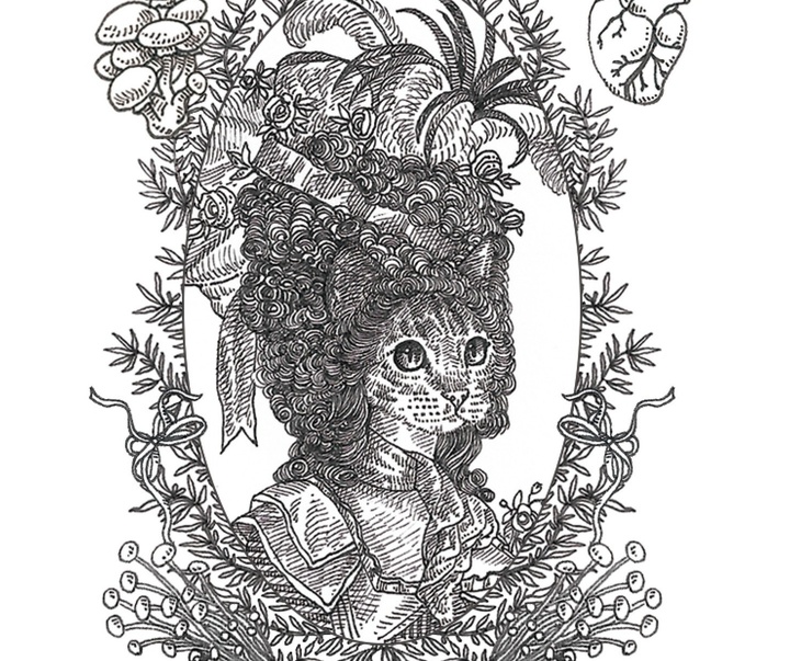 گالری آثار تصویرسازی نیکول بوستامانته از برزیل