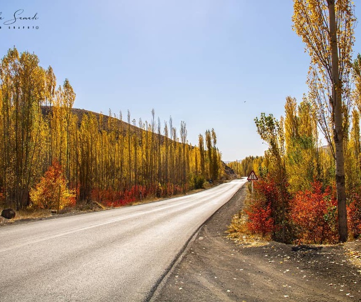 گالری عکس‌‌های فریبا صمدی از ایران