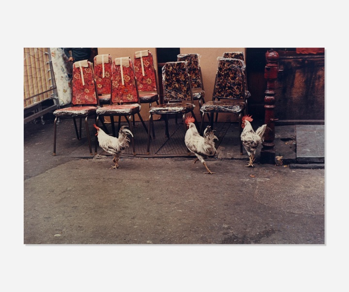 گالری عکس‌های هلن لویت از آمریکا