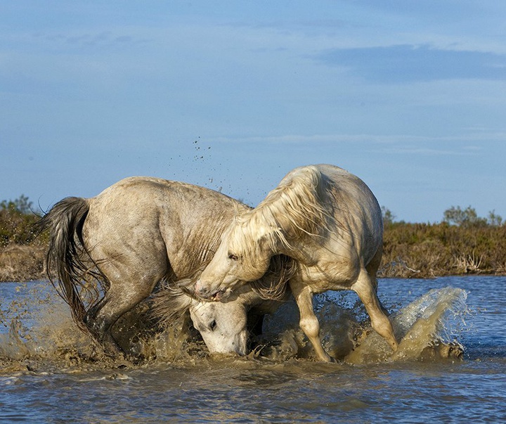 گالری آثار عکاسی جیم زاکرمن از برزیل - قسمت دوم