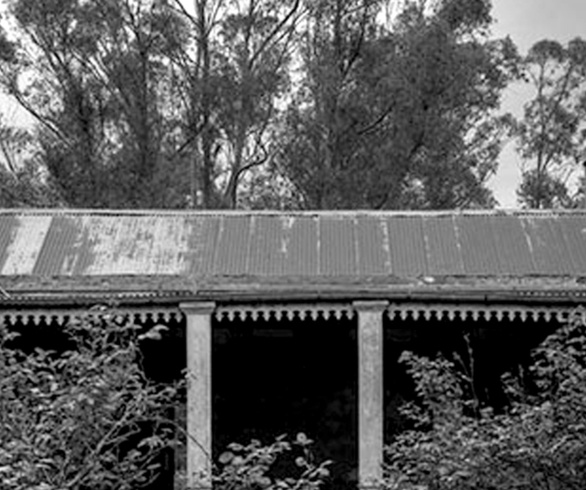 گالری منتخبی از آثار عکاسی هنرمندان آرژانیتینی