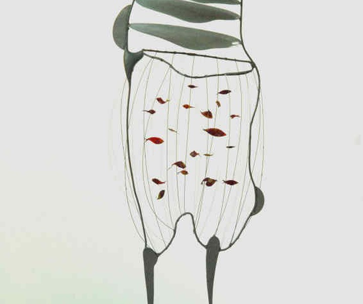 nasim abolghasem
