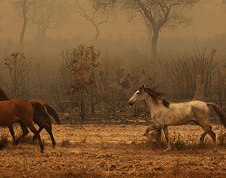 گالری آثار عکاسی لالو د آلمیدا از برزیل - قسمت اول