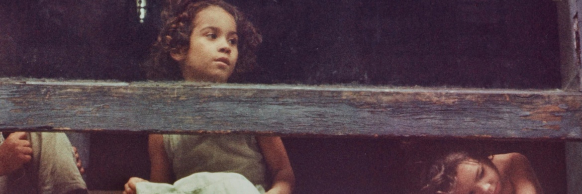 گالری عکس‌های هلن لویت از آمریکا