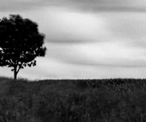 گالری آثار عکاسی مایک سایدل از آلمان