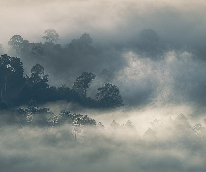 گالری عکس‌های خلاقانه تیم فلچ از بریتانیا