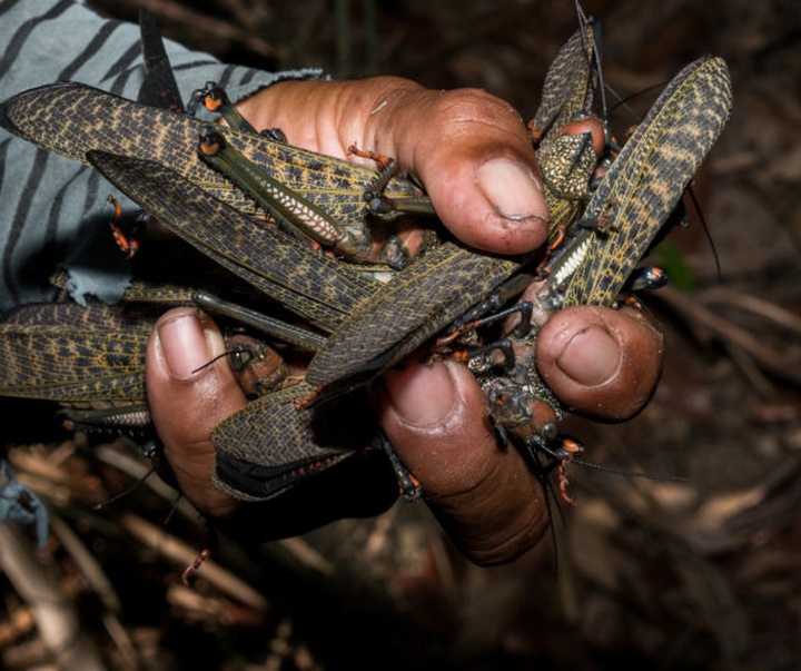 گالری آثار عکاسی خوانیتا اسکوبار از کلمبیا